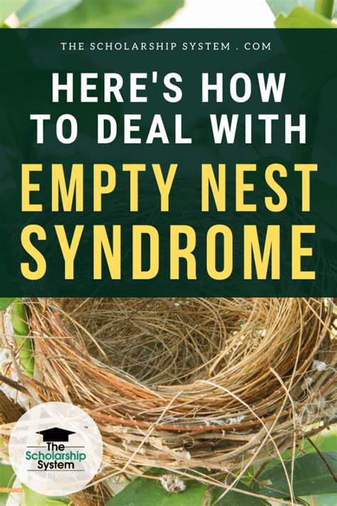 Heres How To Deal With Empty Nest Syndrome The Scholarship System