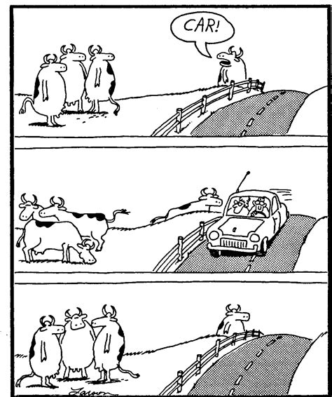 The Far Side Is Back