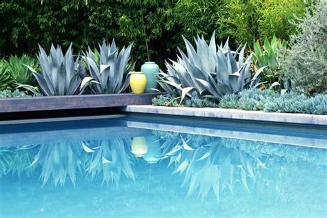 Landscaping Around Swimming Pools Pool Landscaping Plants Landscaping