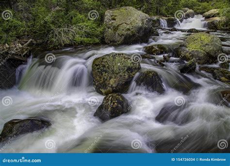 Rushing Colorado Mountain Stream Stock Photo Image Of Rock Green