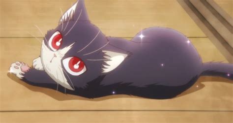 Pin By Lizzy On 동거인은 무릎 때때로 머리위 Cute Anime Cat Anime Animals Anime