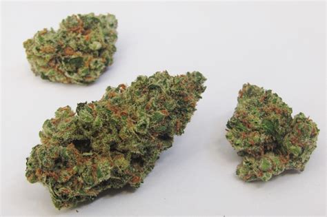 Bubble Jack Why Colorado Tokers Love This Strain Westword