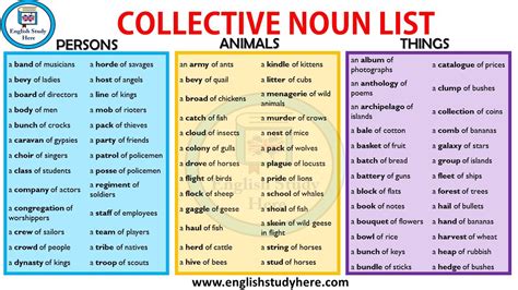 Collective Nouns List In English English Study Here