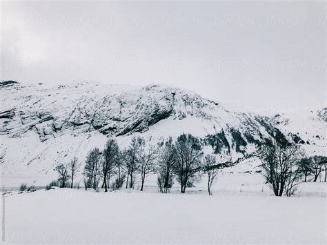 Trees And Mountains In White Scandinavian Winter Landscape Del