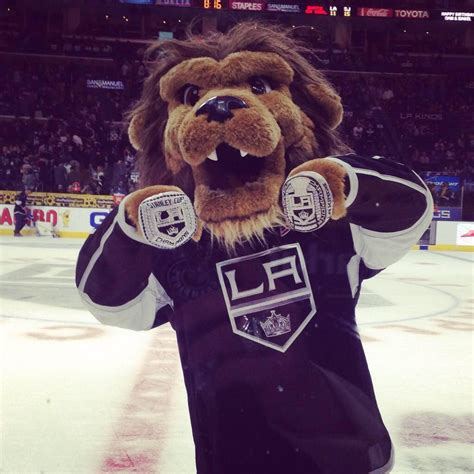 Bailey La Kings Baileylakings Twitter