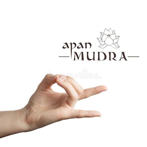 Apan Mudra On White Stock Image Image Of Gesture Background 162424079