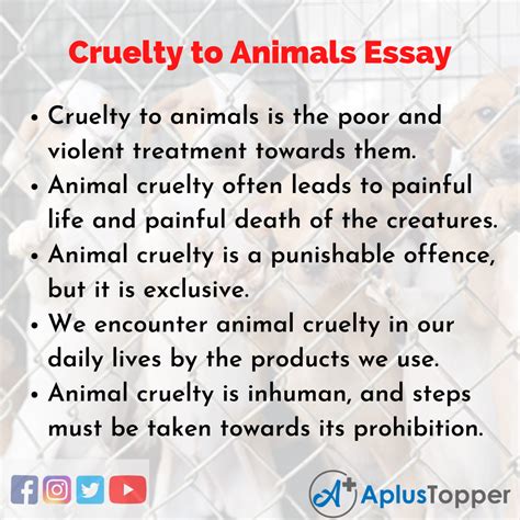 ⭐ Animal Cruelty Research Paper Animal Cruelty Essay Most Exciting