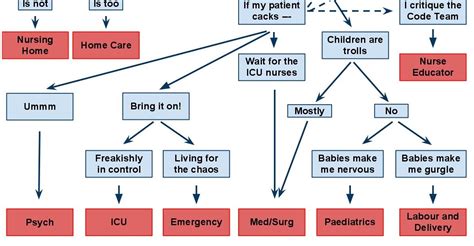 The Worlds Most Sophisticated Algorithm For Choosing A Nursing