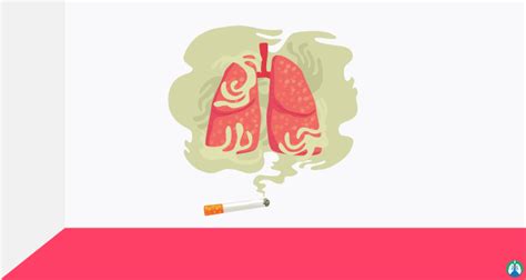 how quitting smoking affects each body system explained