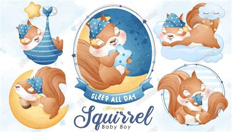 5 وکتور بچه سنجاب کارتونی در خواب Rgbstash