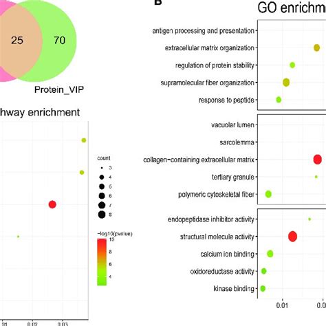 Bubble Plots Of The Functional And Pathway Enrichment Analyses Of The