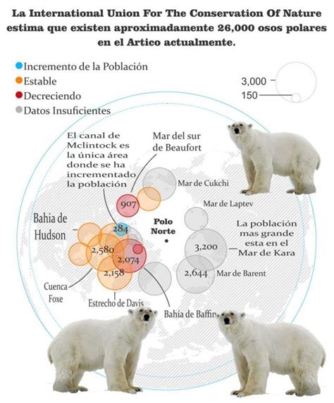 Sintético 102 Foto Dibujo Oso Polar En Peligro De Extincion Mirada Tensa