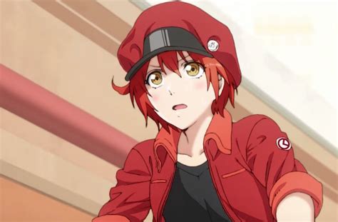 Cells At Work Tv Anime Adaptation Announced