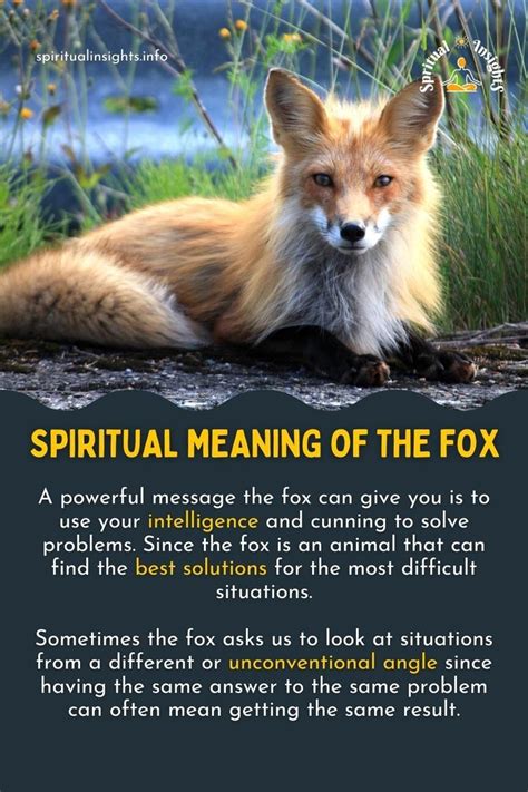 Spiritual Meaning Of The Fox Spirit Animal Fox Animal Spirit Guides