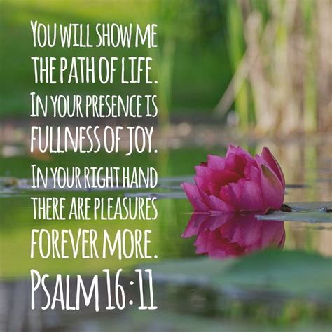 Psalm 1611 You Make Known To Me The Path Of Life You Will Fill Me