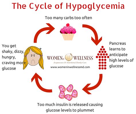 Hypoglycemia Diseases And Their Cures Wikia Fandom Powered By Wikia