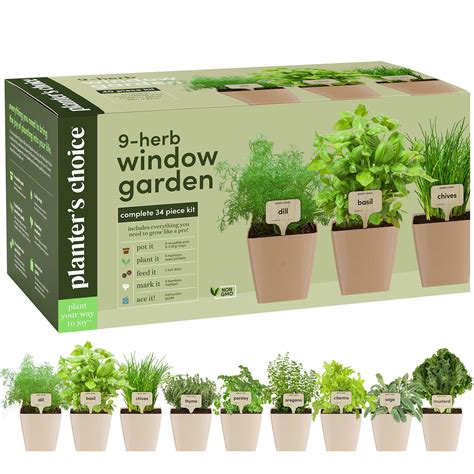 9 Herb Window Garden - Indoor Herb Growing Kit - Kitchen Windowsill