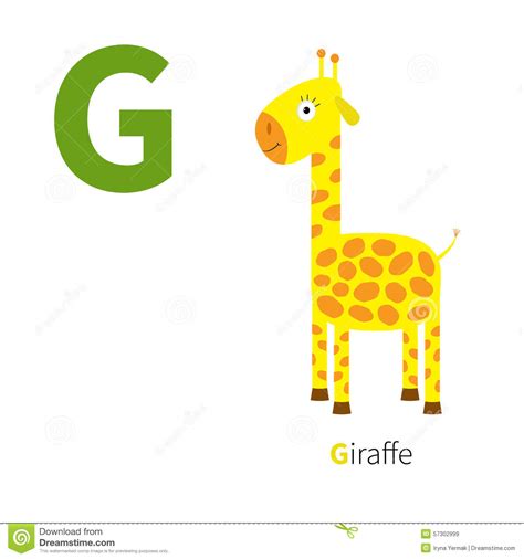 Letter G Giraffe Zoo Alphabet English Abc With Animals Education Cards