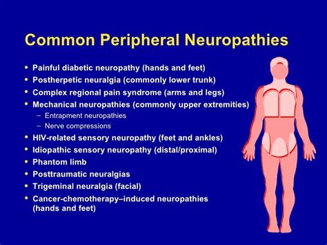 Common Peripheral Neuropathies Postherpetic Neuralgia Commonly Lower