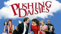 Pushing Daisies - ABC Series - Where To Watch