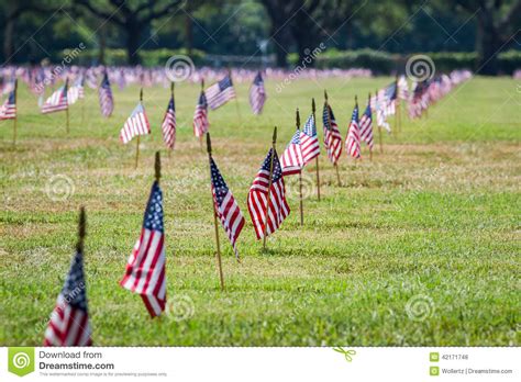 Us Flags In A Veterans Cemetery On Veterans Day Stock Photo Image Of