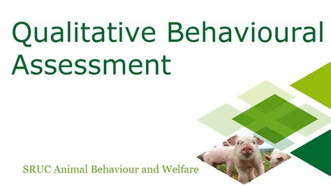 Qualitative Behavioural Assessment Youtube