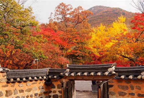 South Korea Autumn Weather Rove Me