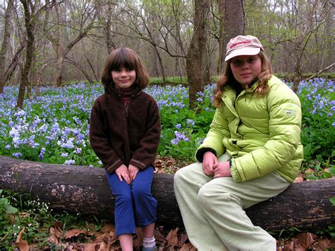 Photos From The 2008 Virginia Bluebell Tours At Merrimac Farm