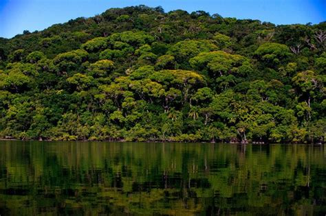 Parque Nacional do Superagui Paraná virtudes e problemas