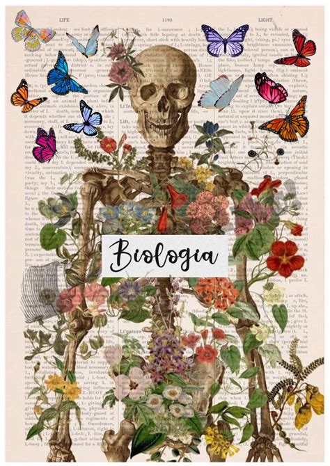 Carátula De Biología Biology Art School Book Covers Book Art