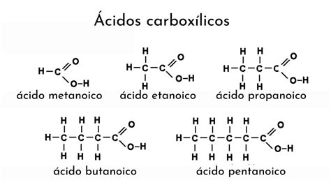 Estructura De Los Acidos Carboxilicos Abstractor
