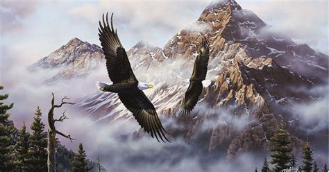 Native American Eagle Wallpapers Top Những Hình Ảnh Đẹp