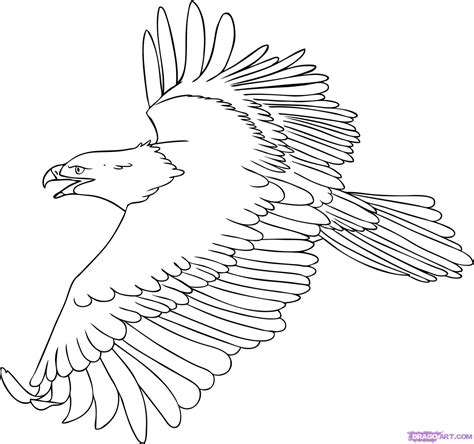 Gambar 10 Mewarnai Gambar Burung Elang Garuda Jawa Download Diwarnai Di