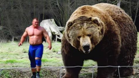 俄罗斯大汉挑战世界上最大的熊，十秒钟后彻底颠覆你的认知！腾讯视频