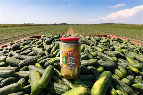 Whytes Foods Celebrating National Pickle Day