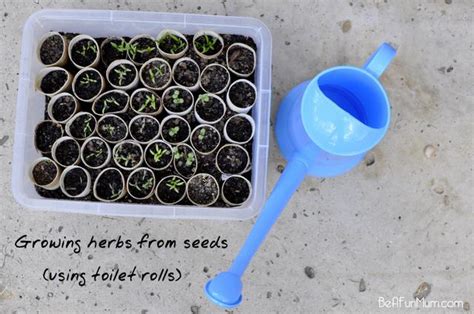 Part 1 Gardening With Kids Planting From Seeds Using