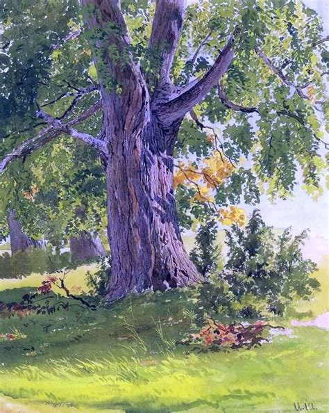 Sunny Oak By Ivan Ivanovich Shishkin Hand Painted Oil Painting