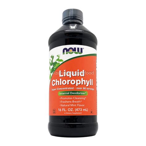 Now Liquid Chlorophyll 473ml - ZENXIN Singapore