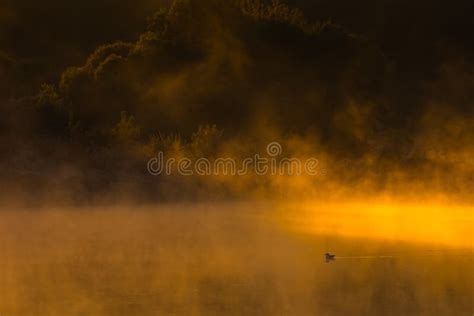 Morning Mist Over The Surface Of Water Stock Photo Image Of Outdoor