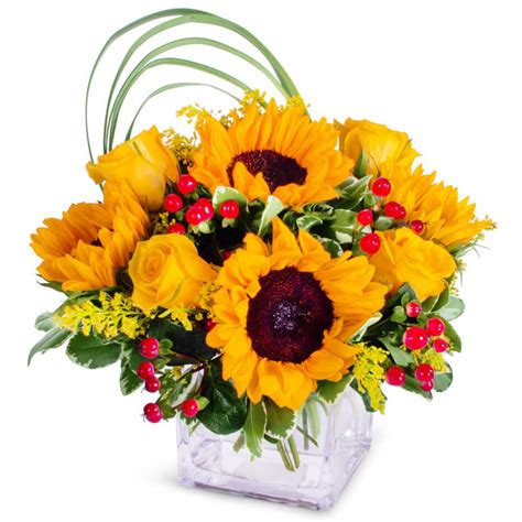 Seminole Largo Fl Florist Flower Delivery In Largo Fl By Rose Garden