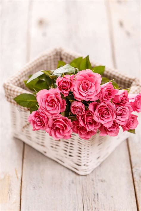 Still Life With Pink Roses Stock Image Colourbox