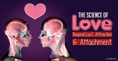 The Science Of Love Beyond Lust Attraction And Attachment