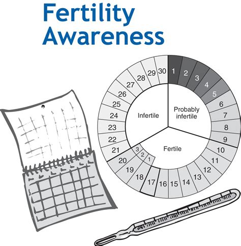 Fertility Awareness Fertility Awareness Method Fertility Awareness