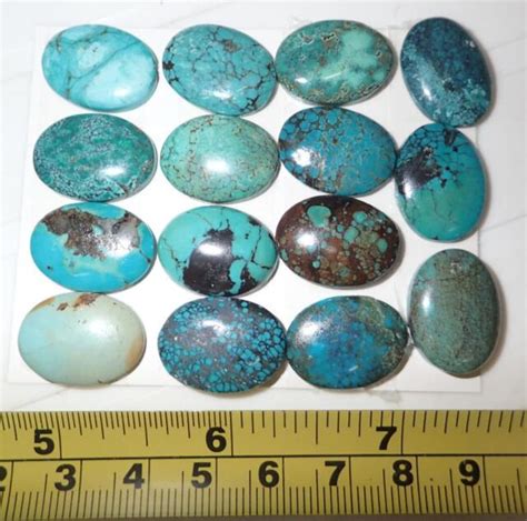 Turquoise Stone Oval 20x15 Mm Flat Cabochon 155 Carat 15 Pieces 31 Gram