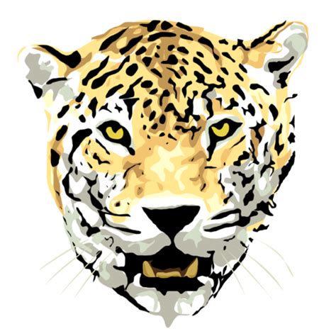Cheetah drawings images group with 80+ items. Cheetah Face Drawing | Free download on ClipArtMag