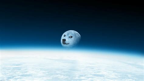 Free Download Doge Is Moon Doge Wallpaper 2560x1440 14008 2560x1440