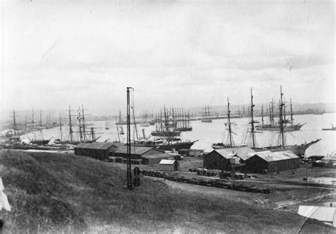 Newcastle Harbour Nsw 1880s Living Histories