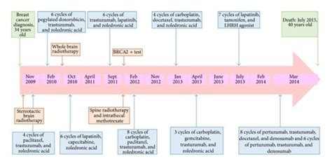 Timeline Of Patients Diagnosis And Treatments Download Scientific
