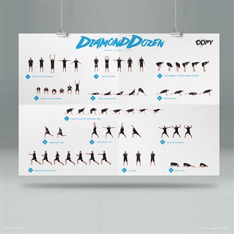 Ddp Yoga Dvds Pack 1 Dvds Poster And Program Guide Ddp Yoga