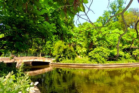 Besuchen Bucharest Botanical Garden Gradina Botanica